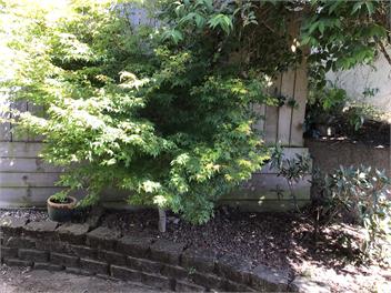 Easther Townhouse - Dunedin