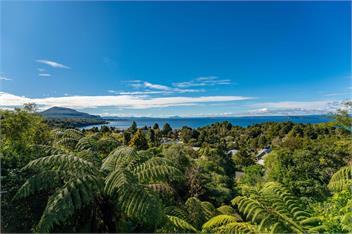 Lakeview Bush Hideaway (Bachcare) - Pukawa