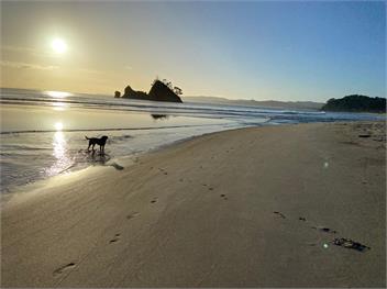 Bliss on the Beach (Bachcare) - Whangapoua