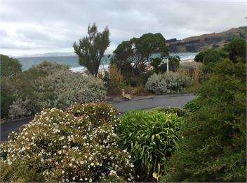 tatahi seaside apartment - dunedin