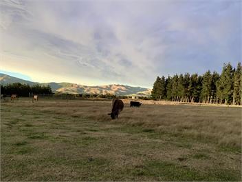 Oxford Holiday Cottage - North Canterbury
