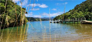 Tuangi - Picton