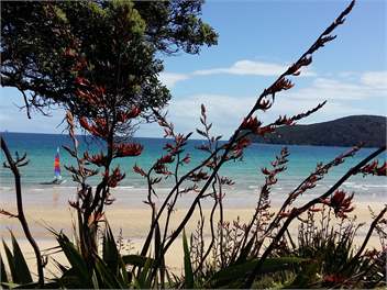 THE BEACH HOUSE - Great Barrier Island