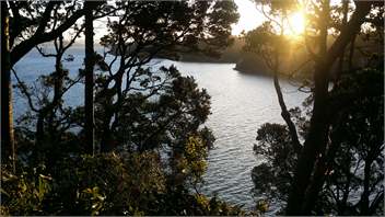 Stunning clifftop oceanview house auckland - Auckland