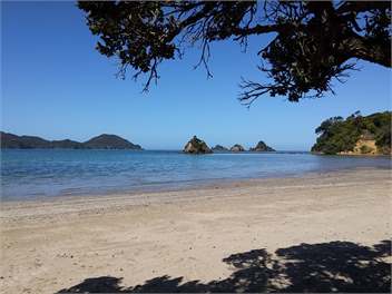 Oakura Lookout - Oakura Bay