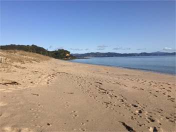 The Green Bach - Whitianga
