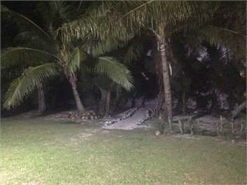 Teanoi's Beach House - Cook Islands