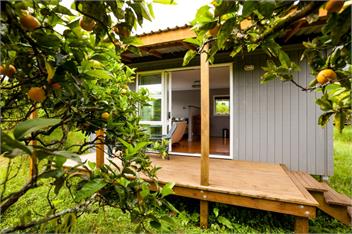 DoLittle Cottage amidst our organic citrus orchard - Kerikeri
