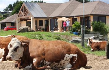 High Ridge House - Mangonui, Northland, NZ