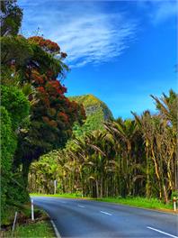 'Parinui' Punakaiki - Punakaiki