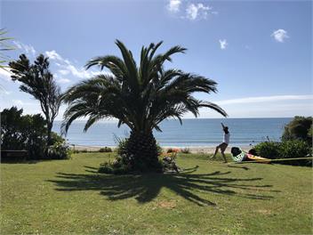 Summer in the Sun - Golden Bay