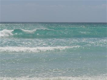 Protea Park Cottage - Peaceful Paradise - Kaitaia