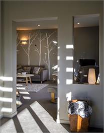 The Nest - Wanaka