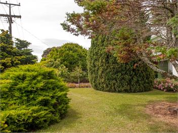 Holiday Haven (Bachcare) - Whitianga