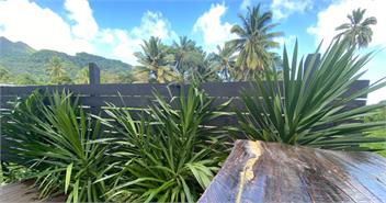 Hidden Palms Luxury One Bedroom Villa - Cook Islands