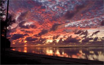 ' ARE PEPE - container home - Rarotonga