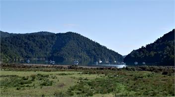 Roisin dubh (rowsheen duv) - Marlborough