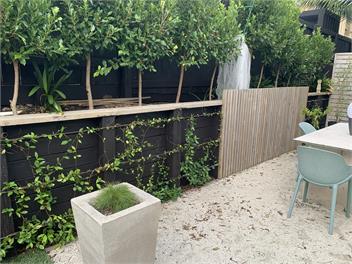 Kohi Bach - Auckland