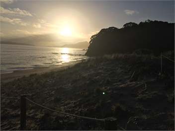 The Green Bach - Whitianga