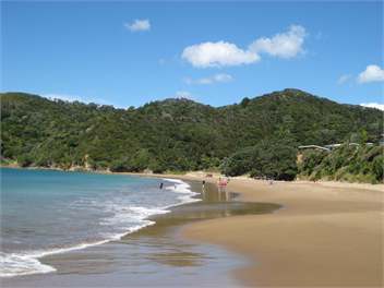 Paradise at Little Bay - Little Bay