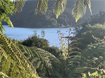 The Whaler’s Cottage  - Great Barrier Island