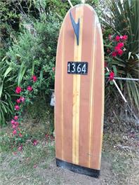 Surfers Paradise - Kaikoura