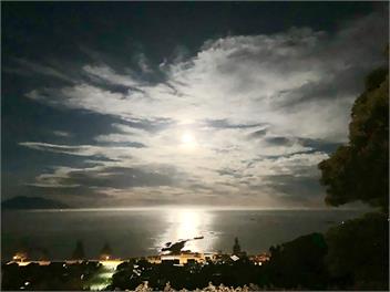 Room with a View - The Cottage - Kaikoura
