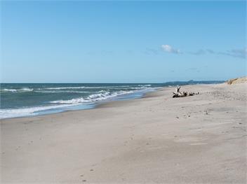 A Beach Barn Haven (Bachcare) - Papamoa