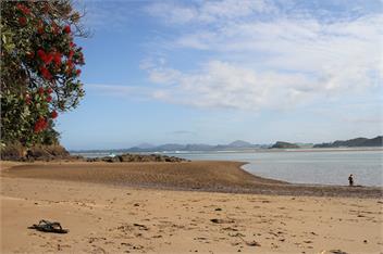 Kakariki by the Sea - Whangarei