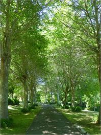 Tranquil Private Rural Retreat - Tauranga