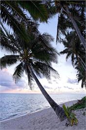 Sands Villas - Vaka Villa - Rarotonga