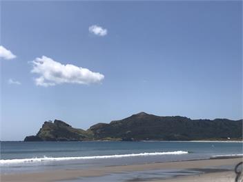 Medland's Beach Hideout - Auckland