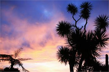 Miro Cottage - Hydrangea cottages - Punakaiki