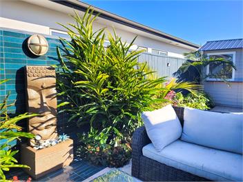Hosts on the Coast Aquila Sunrise - Whitianga