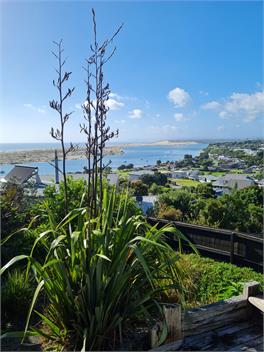Large Home with Views Forever - Mangawhai Heads