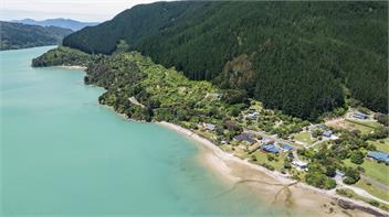 Linkwater Wonder (Bachcare) - Picton