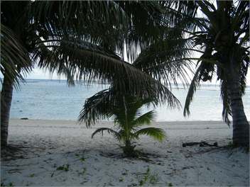 Paia's Holiday Home - Rarotonga