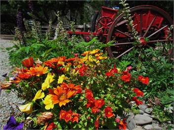 Nut Point Cottage - (Christchurch City and Country Cottages) - West Melton