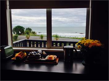 Luxury beach front - Dunedin