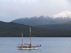 Silver Birch Cottage wi-fi & sky - Te Anau Fiordland