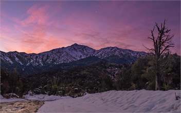 The Lookout: Breathtaking views, Private Rainforest ★Walks to Waterfalls★ - Peel Forest
