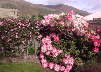 Brook Green on Meadowstone - free Wifi - Wanaka 9305