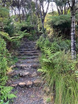 The Whaler’s Cottage  - Great Barrier Island