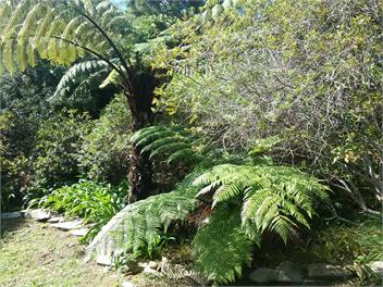 'Pines Lodge', Endeavour Inlet, Queen Charlotte Sounds - Picton