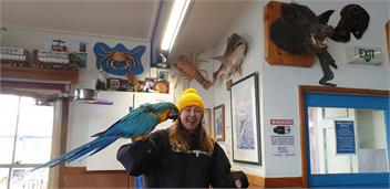 As Good As It Gets - Mangonui