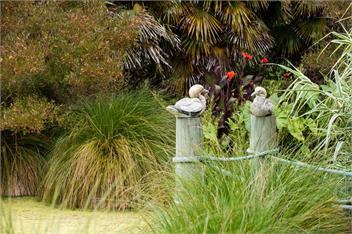 Lawn Cottages - Flax Cottage - Hastings
