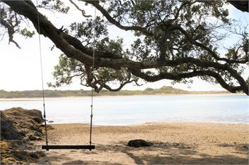 Kakariki by the Sea - Whangarei