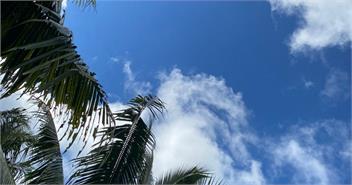 Hidden Palms Luxury One Bedroom Villa - Cook Islands