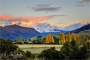 The Lookout - Wanaka