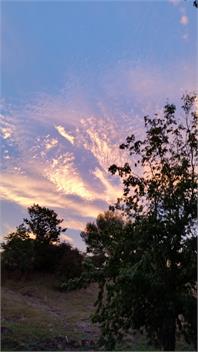 Rose Cottage - Masterton
